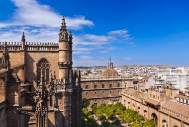 İspanya sevilla Cathedral la giralda