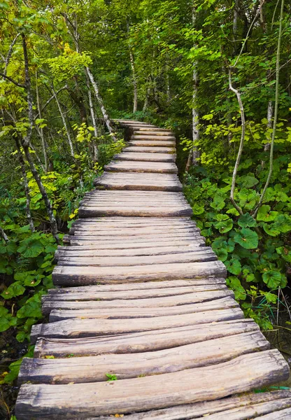 Camino en el parque de lagos de Plitvice en Croacia — Foto de Stock