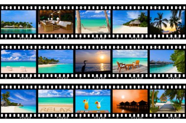 Frames of film - nature and travel (my photos) clipart