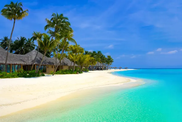 Пляжные бунгало на тропическом острове — стоковое фото