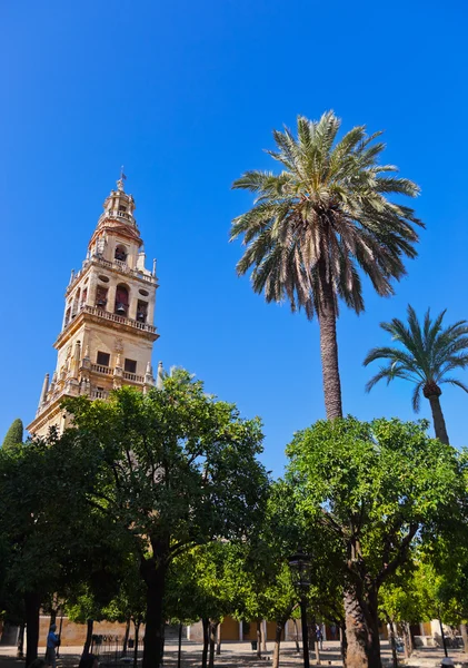 Mezquita Mosque Cathedral tower - Cordoba Spain — Stock Photo, Image