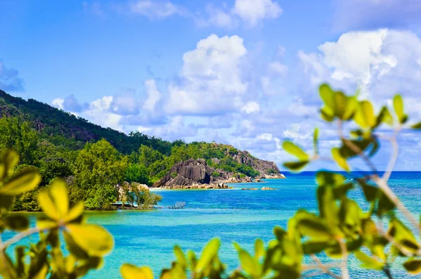 Isola tropicale Curieuse alle Seychelles — Foto Stock