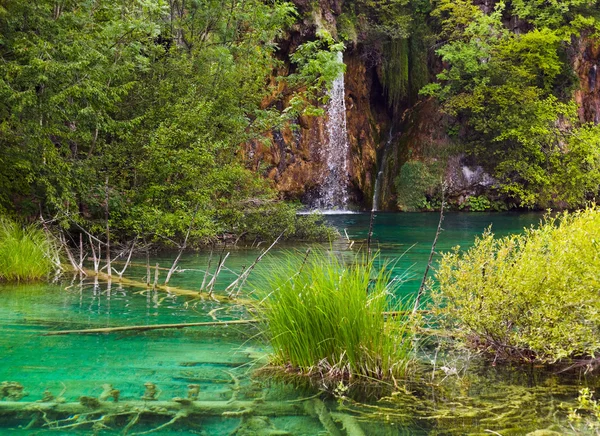 Plitvicesjöarna i Kroatien — Stockfoto