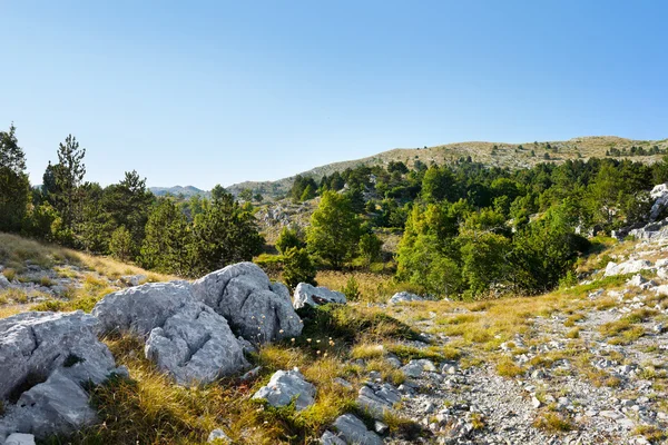 Bergen uitzicht op biokovo, Kroatië — Stockfoto