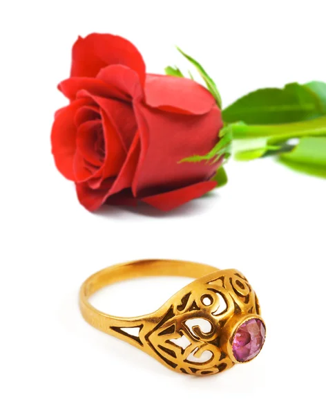 Růže a zlatý prsten — Stock fotografie