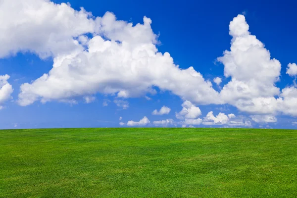 잔디와 흐린 하늘 — 스톡 사진