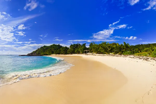 A(z) este Tropical beach — Stock Fotó