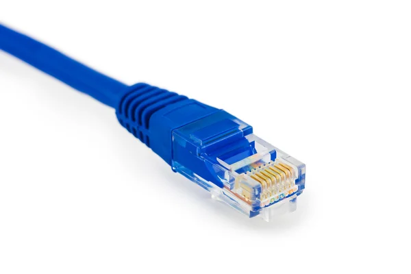 Internetový kabel — Stock fotografie
