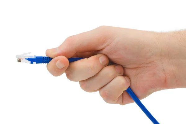 Computer cable in hand — Stock Photo, Image
