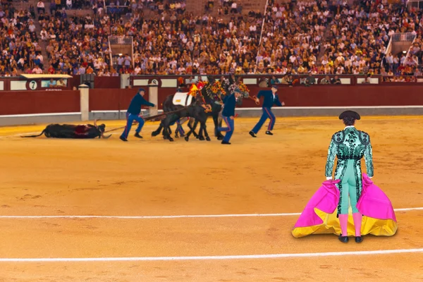 Matador and dead bull in bullfighting at Madrid — ストック写真