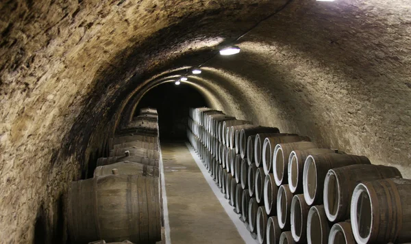 stock image Wine cellar