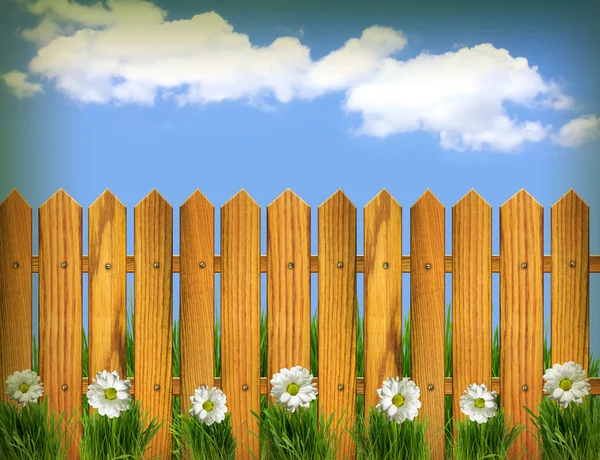 Wood fence and white flowers with blue sky.Vintage background — Stock Photo, Image