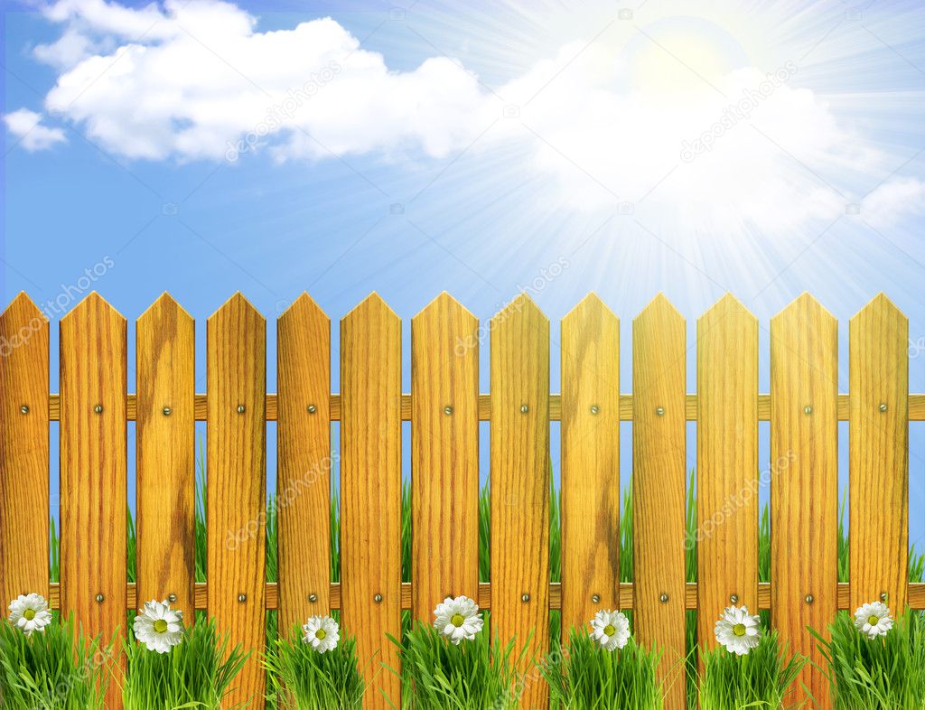 Wood fence and white flowers.Sunner landscape with sun light