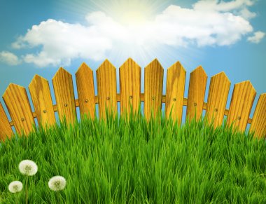 Wood fence and green grass meadow.Summer landscape with sun ligh clipart