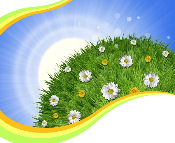 Natuur achtergrond met groene gras en zon licht voor tekst — Stockfoto
