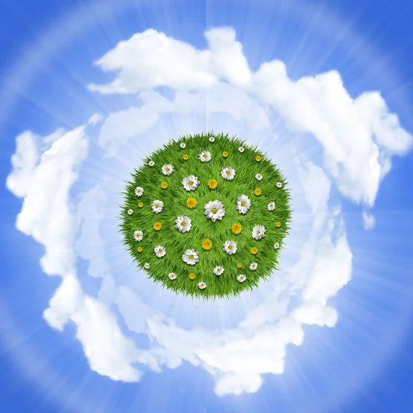 Nature green grass planet with flowers on sky background — Stock Photo, Image