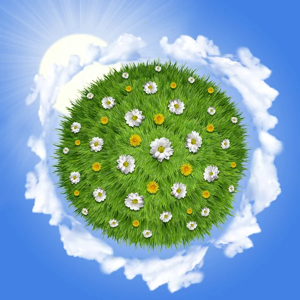 太陽の光と自然緑の草の惑星 — ストック写真