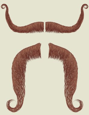 Mustaches set for man. clipart