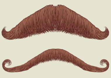 Mustaches for man.Vector collection for man portrait clipart