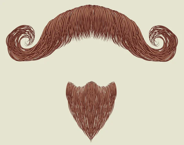 Mustache and beard — Stock Vector