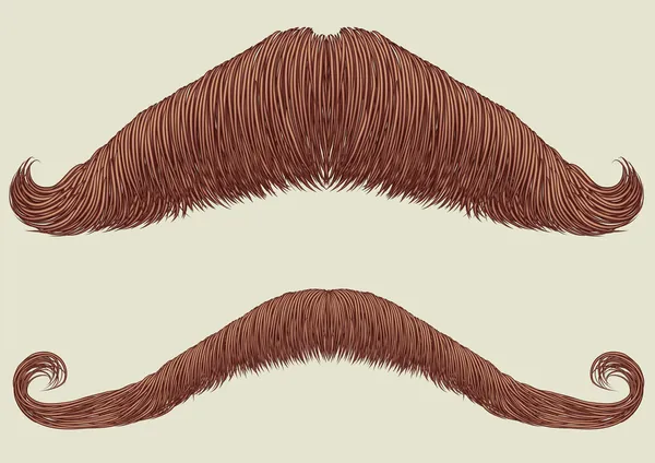 Mustaches para hombre. Colección vectorial para retrato de hombre — Vector de stock