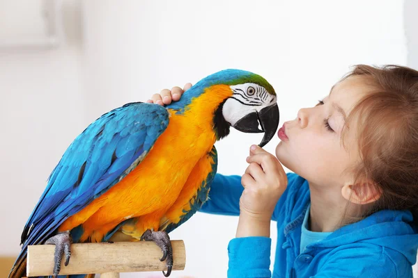 Child with ara parrot — Stock Photo, Image