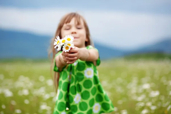 Child at camomile field — Stock Photo, Image