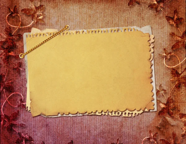 Albüm defteri biçiminde bilgi için Grunge kağıt tasarımı — Stok fotoğraf