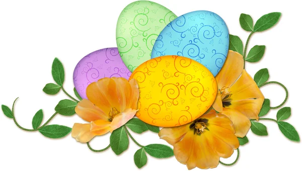 Disposizione delle uova di Pasqua con fiori primaverili isolati su ba bianca — Foto Stock