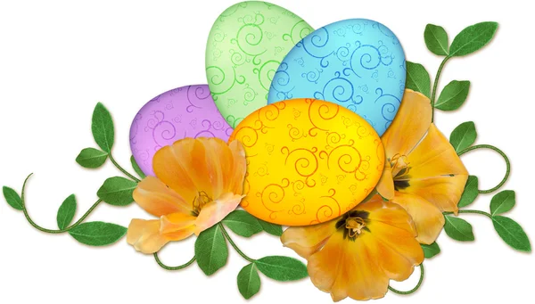 stock image Easter eggs arrangement with spring flowers isolated on white ba