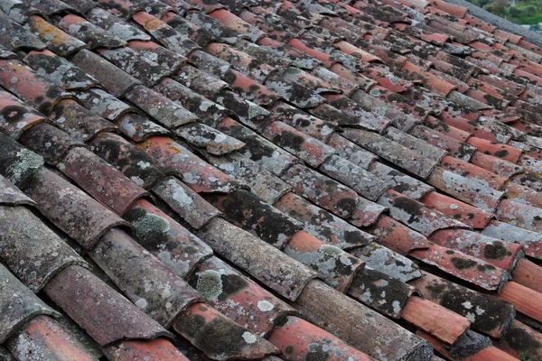 Placi de acoperiș vechi acoperite cu lichen și mușchi — Fotografie, imagine de stoc