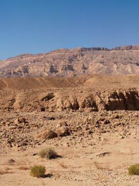 Scenic desert landscape in Makhtesh Katan in Negev desert clipart