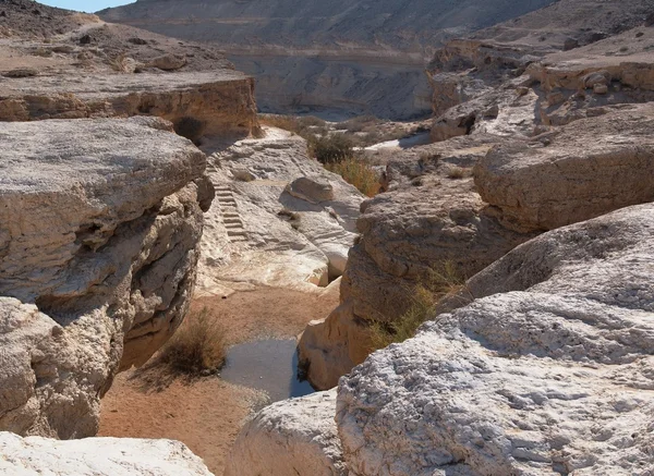 在沙漠峡谷的小池塘 — 图库照片