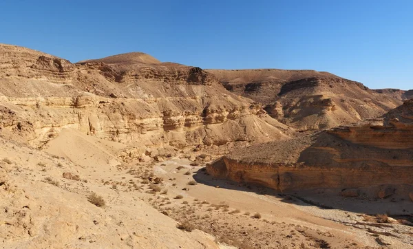 Canyon du désert — Photo