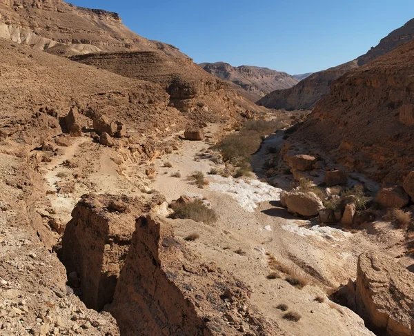 Woestijn canyon — Stockfoto