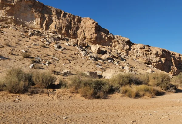 Stěna pouštním kaňonu — Stock fotografie