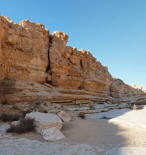 stock image Wall of desert canyon