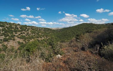 Landscape in Upper Galilee with Druze town on the horizon clipart