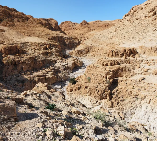 Garganta no deserto cortada por um riacho de Qumran perto do Mar Morto — Fotografia de Stock