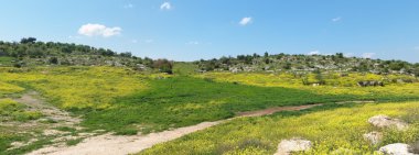 Akdeniz hills manzara bahar