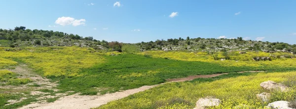 stock image Mediterranean hills landscape in spring