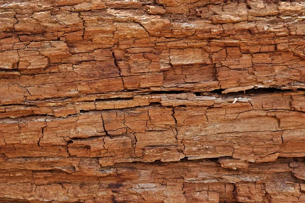 Texture of cracked rotten wood — Stock Photo, Image