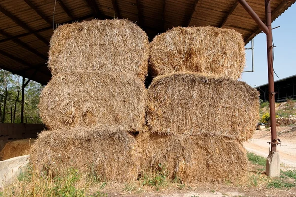 Haystacks en la granja agrícola almacenada para alimentación animal —  Fotos de Stock