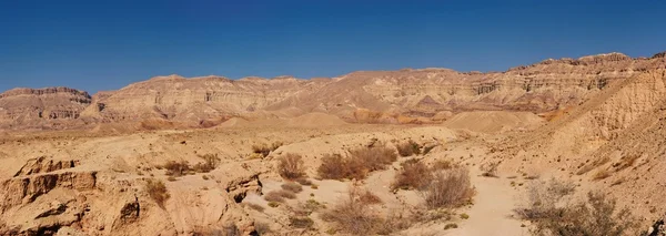 일몰에서 아름 다운 사막 풍경 — 스톡 사진