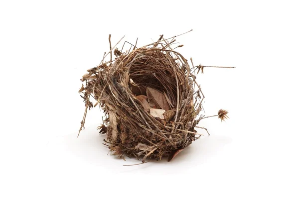 Stock image Empty small bird nest isolated on white background