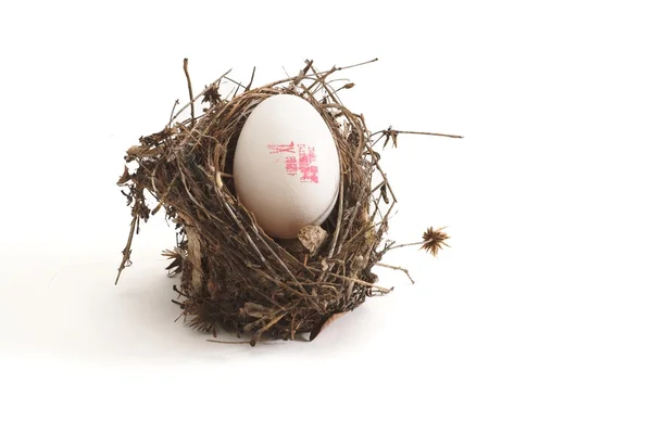 stock image Small bird nest with XL egg isolated on white background