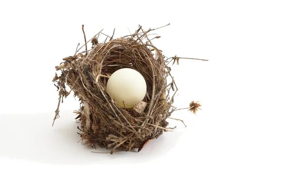 Nido de pájaro pequeño con pelota de ping pong en lugar de huevo aislado — Stockfoto