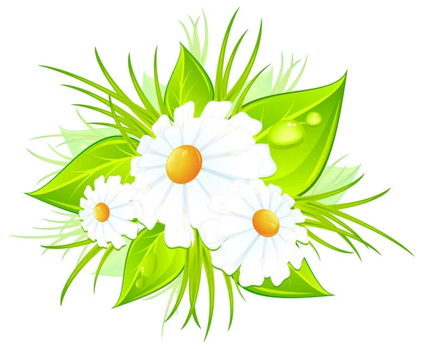 Bouquet de marguerites — Image vectorielle