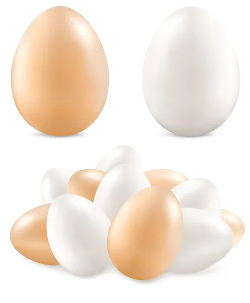 계란 흰색 — 스톡 벡터