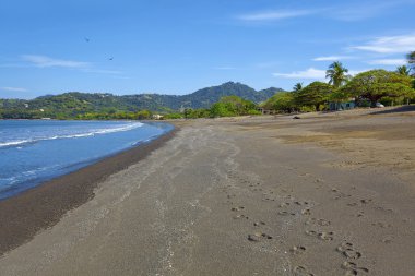 Beach in Guanacaste clipart